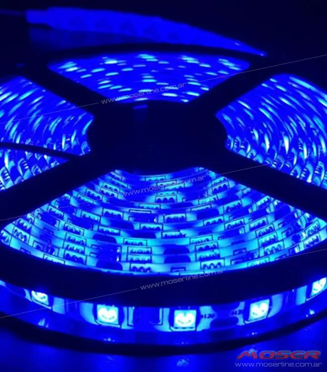 Rollo de Led 5050 x metro - Azul